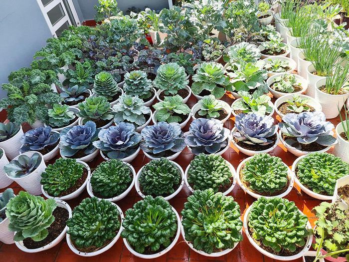 hinh-anh-2-41 hinh-anh-2.jpg