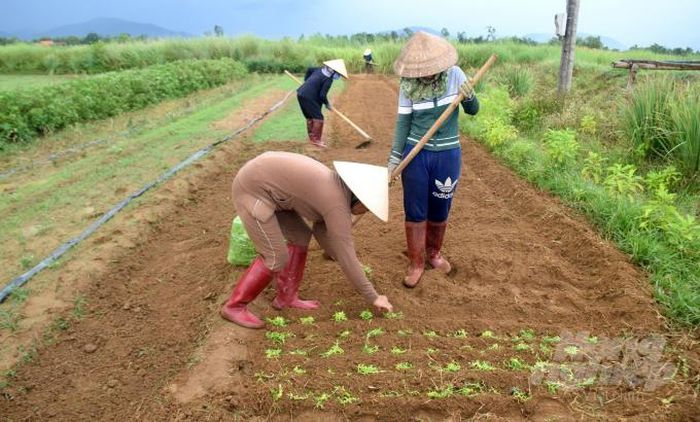 hinh-anh-2-44 hinh-anh-2.jpg