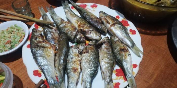 hinh-anh-2-53 hinh-anh-2.jpg