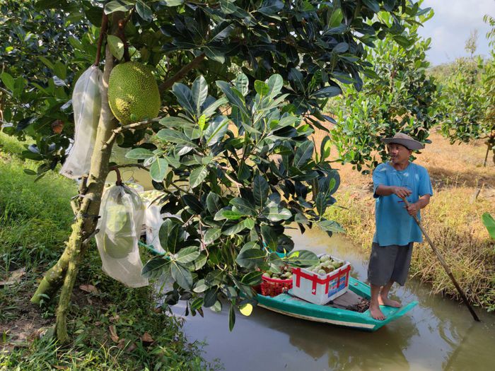 hinh-anh-2-57 hinh-anh-2.jpg