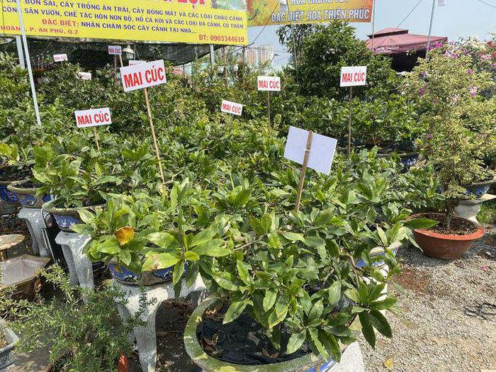 hinh-anh-2-59 hinh-anh-2.jpg