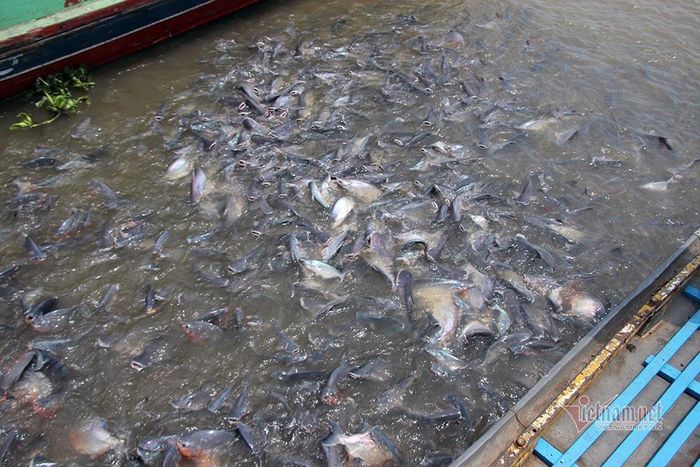 hinh-anh-3-21 hinh-anh-3.jpg