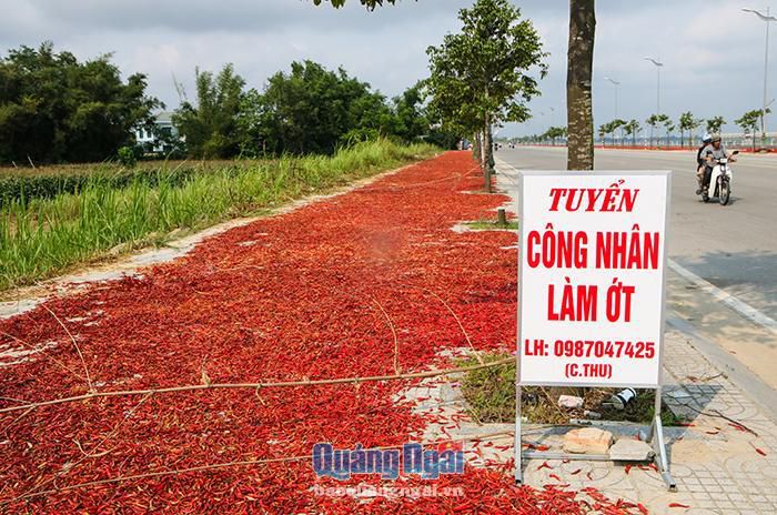 hinh-anh-3-24 hinh-anh-3.jpg