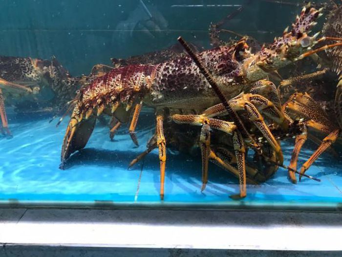 hinh-anh-3-26 hinh-anh-3.jpg