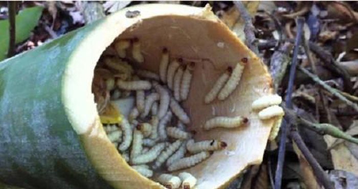 hinh-anh-3-28 hinh-anh-3.jpg