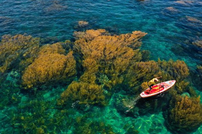 hinh-anh-3-3 hinh-anh-3.jpg