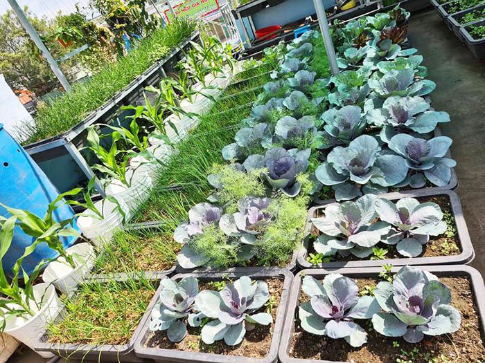 hinh-anh-3-36 hinh-anh-3.jpg