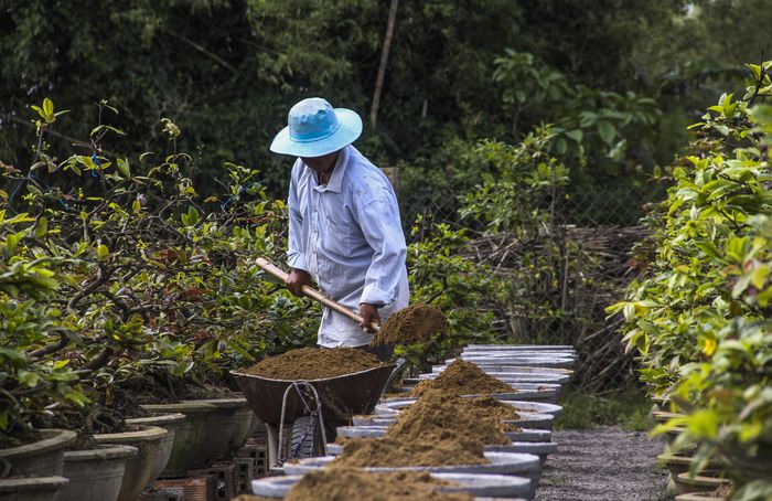 hinh-anh-3-37 hinh-anh-3.jpg