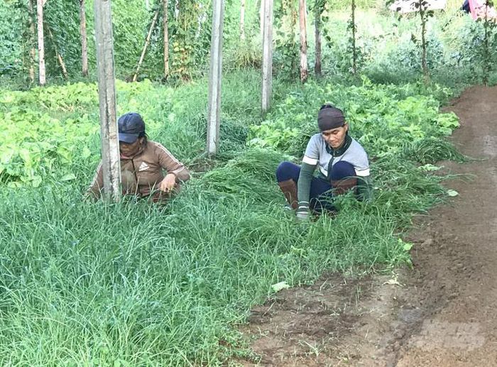 hinh-anh-3-38 hinh-anh-3.jpg