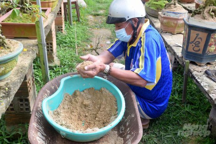 hinh-anh-3-41 hinh-anh-3.jpg