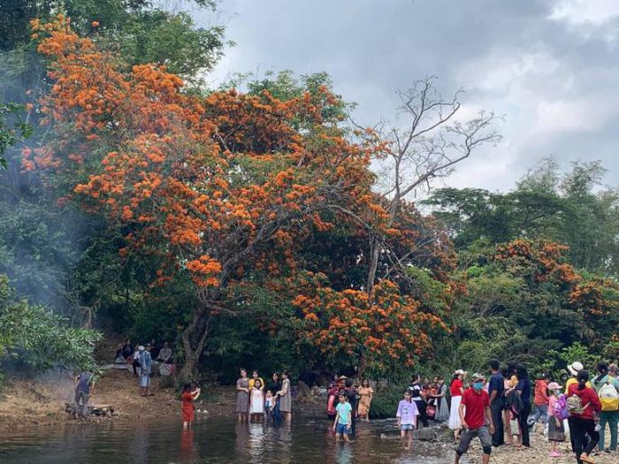 hinh-anh-3-5 hinh-anh-3.jpg