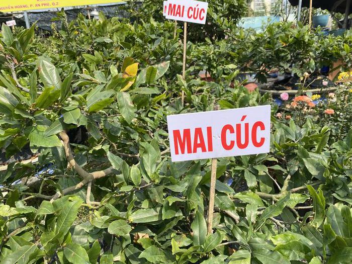 hinh-anh-3-51 hinh-anh-3.jpg