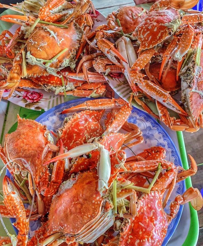 hinh-anh-4-14 hinh-anh-4.jpg