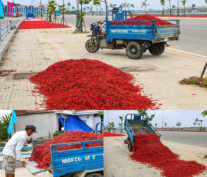 hinh-anh-4-18 hinh-anh-4.jpg