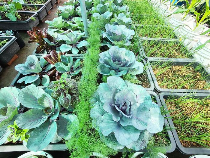 hinh-anh-4-27 hinh-anh-4.jpg