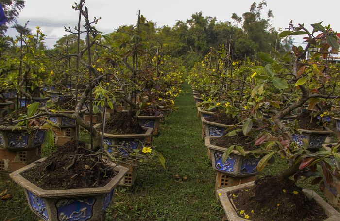 hinh-anh-4-28 hinh-anh-4.jpg