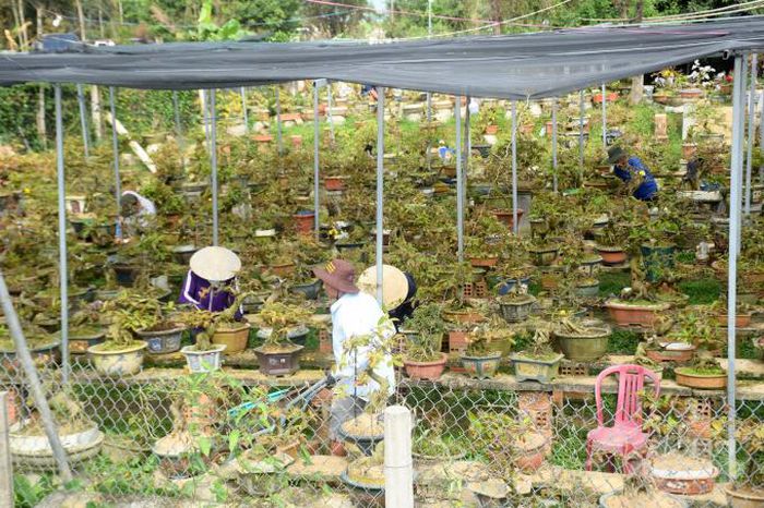 hinh-anh-4-30 hinh-anh-4.jpg