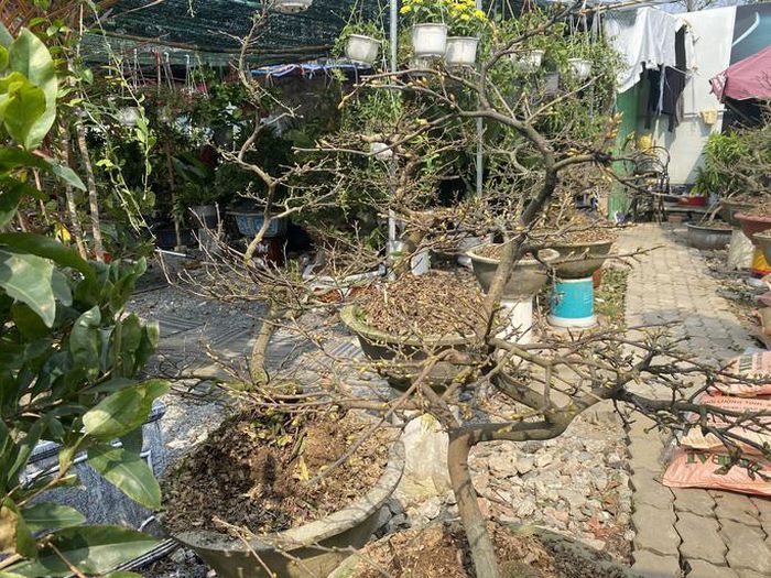 hinh-anh-4-37 hinh-anh-4.jpg