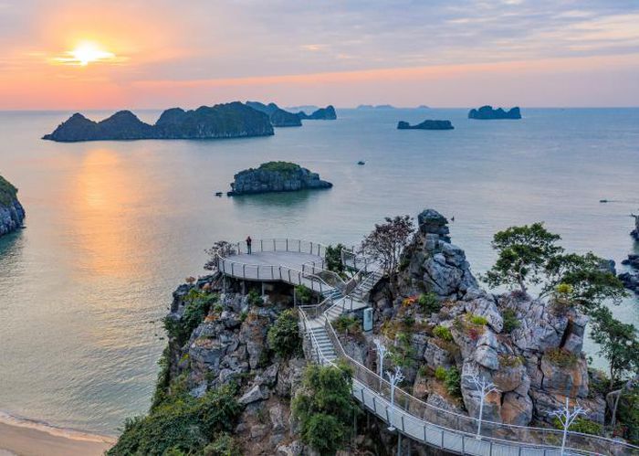 hinh-anh-4-6 hinh-anh-4.jpg