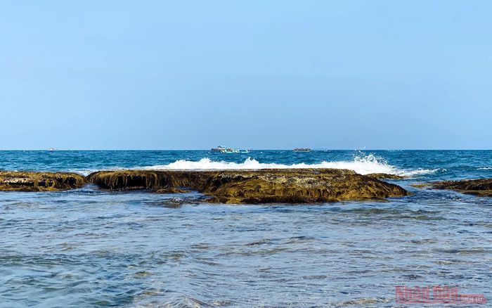 hinh-anh-4-9 hinh-anh-4.jpg