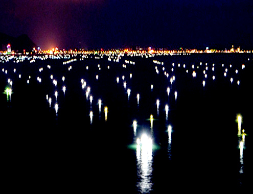 hinh-anh-5-10 bai-bien-quy-nhon-5