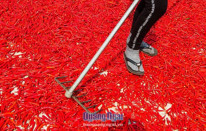 hinh-anh-5-17 hinh-anh-5.jpg