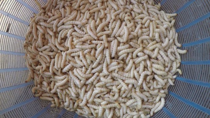 hinh-anh-5-18 hinh-anh-5.jpg