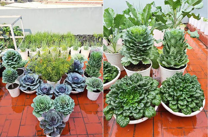 hinh-anh-5-22 hinh-anh-5.jpg