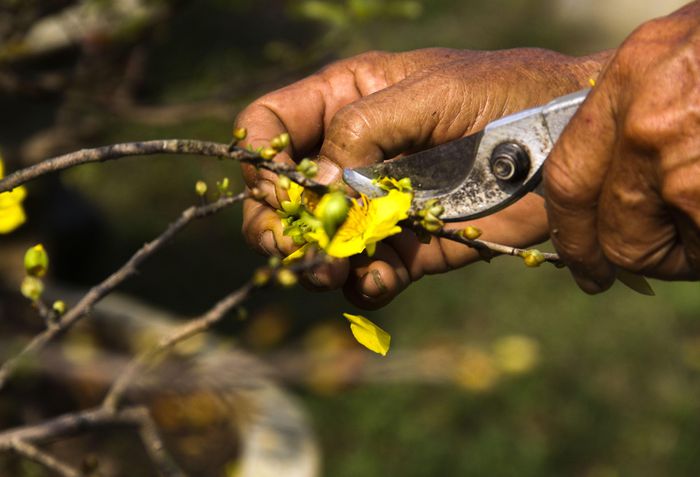 hinh-anh-5-23 hinh-anh-5.jpg