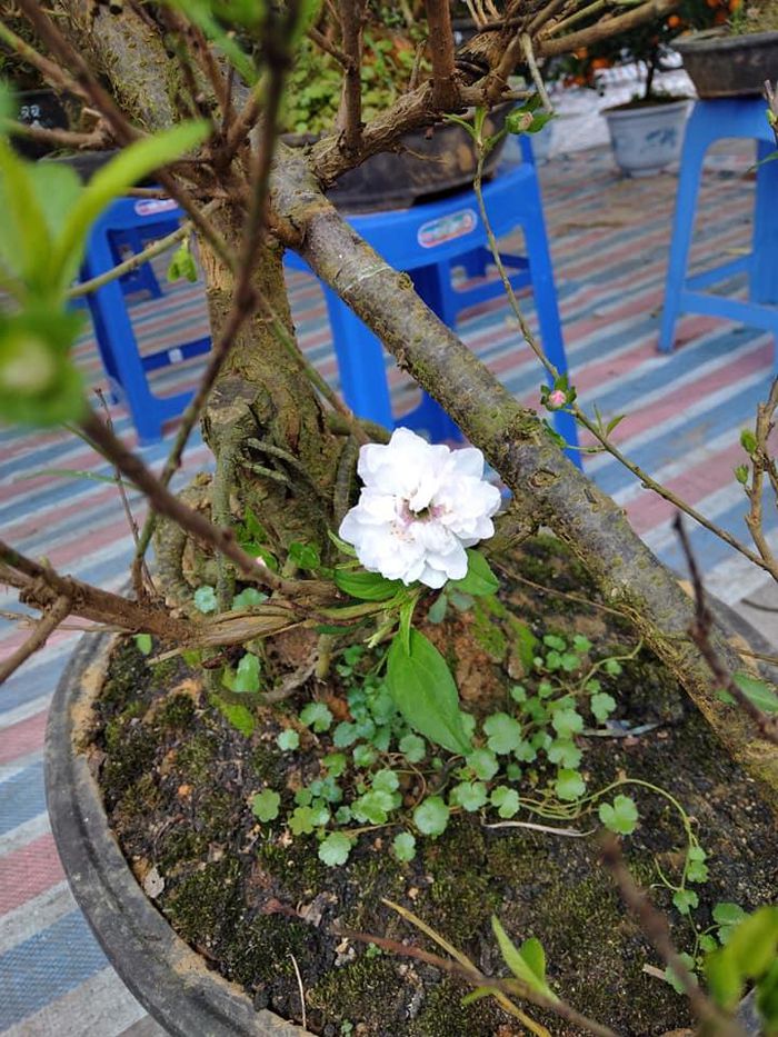 hinh-anh-5-29 hinh-anh-5.jpg