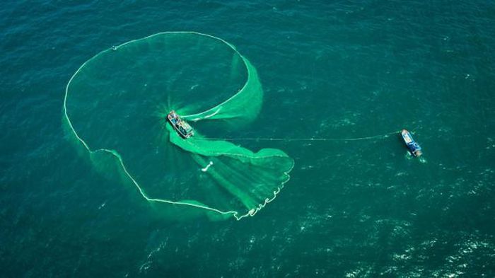 hinh-anh-5-3 hinh-anh-5.jpg