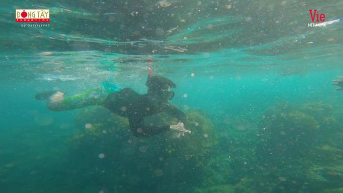 hinh-anh-5-4 hinh-anh-5.jpg