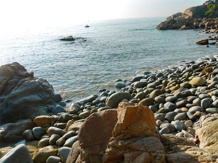 hinh-anh-5-5 hinh-anh-5.jpg