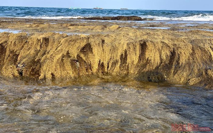 hinh-anh-5-9 hinh-anh-5.jpg