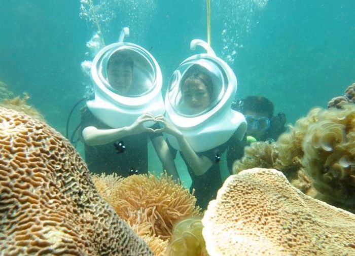 hinh-anh-5 hinh-anh-5.jpg