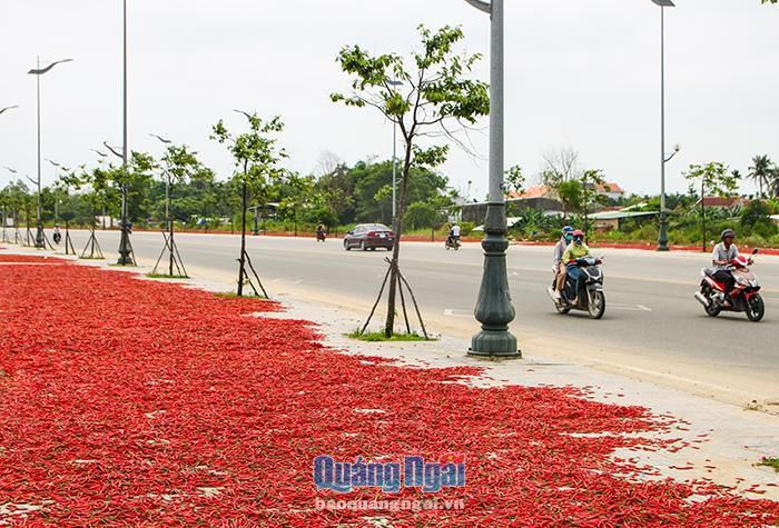 hinh-anh-6-11 hinh-anh-6.jpg