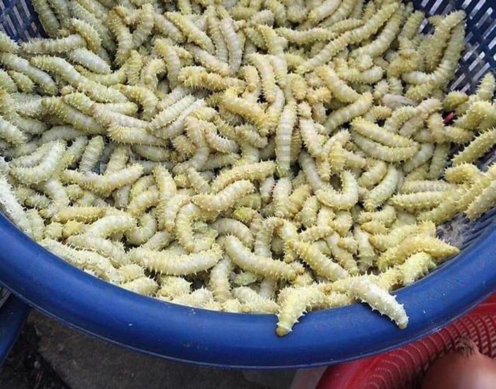 hinh-anh-6-12 hinh-anh-6.jpg