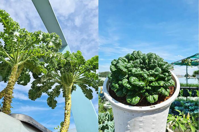 hinh-anh-6-14 hinh-anh-6.jpg