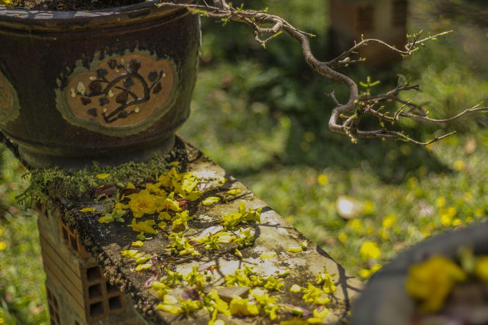 hinh-anh-6-15 hinh-anh-6.jpg