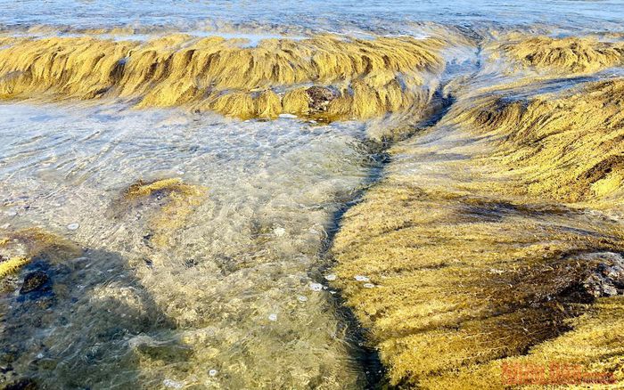 hinh-anh-6-6 hinh-anh-6.jpg