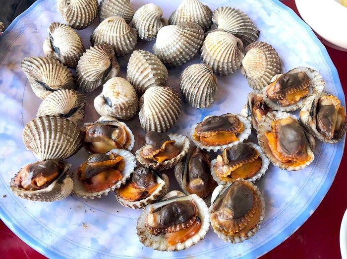 hinh-anh-6-9 hinh-anh-6.jpg