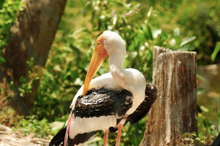 hinh-anh-6 hinh-anh-6.jpg