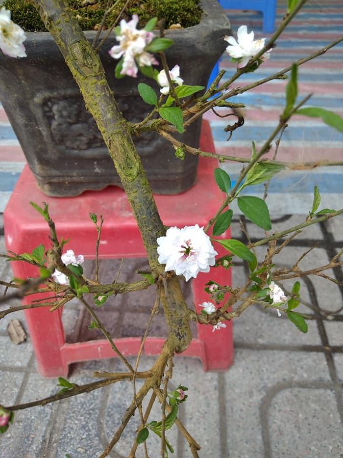 hinh-anh-7-16 hinh-anh-7.jpg