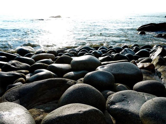 hinh-anh-7-3 hinh-anh-7.jpg