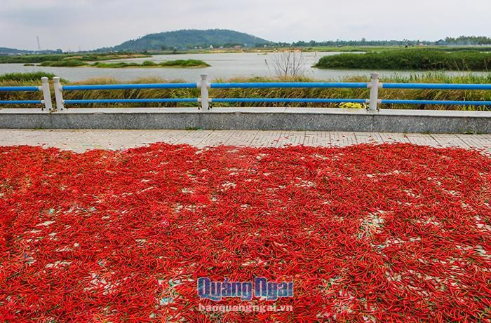 hinh-anh-7-7 hinh-anh-7.jpg