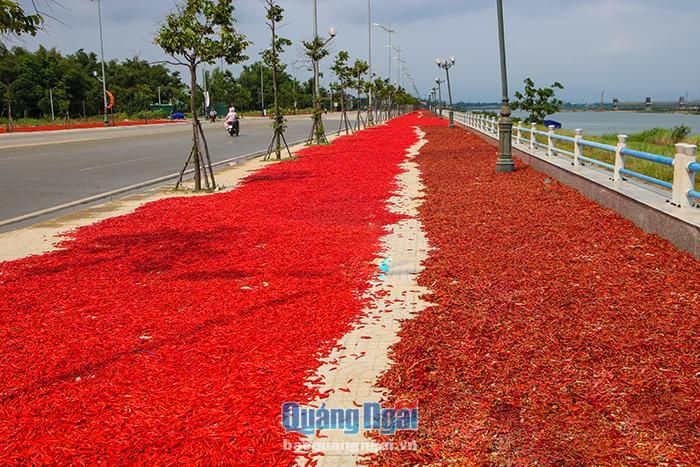 hinh-anh-8-5 hinh-anh-8.jpg