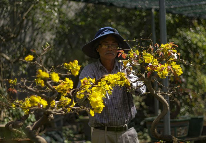 hinh-anh-8-9 hinh-anh-8.jpg