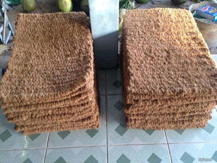 hinh-anh-9-4 hinh-anh-9.jpg