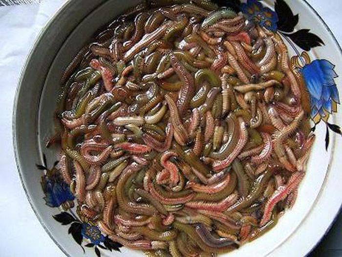 hinh-anh-9-6 hinh-anh-9.jpg