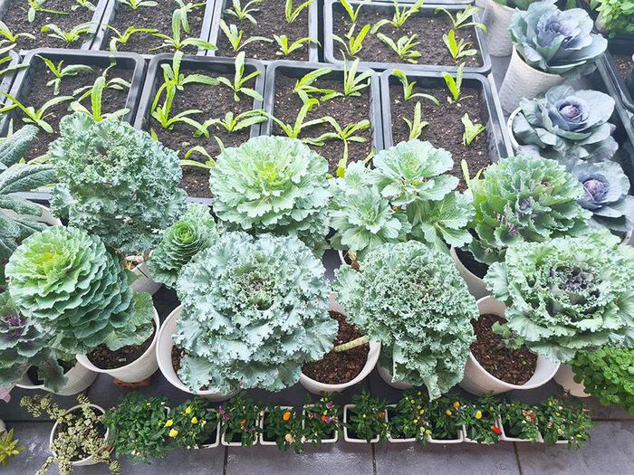 hinh-anh-9-8 hinh-anh-9.jpg